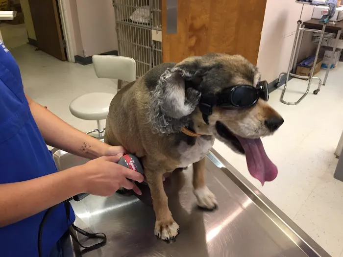 Arbor Pointe Veterinary Hospital Picture 2