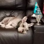Lilley Veterinary Medical Center