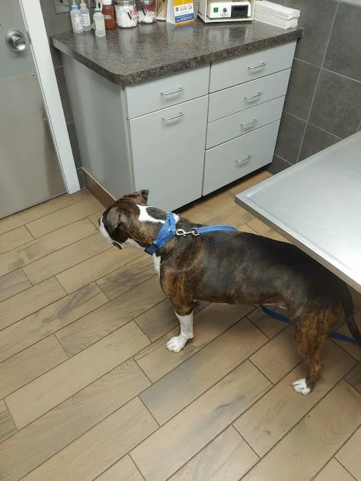 Lilley Veterinary Medical Center Picture 7