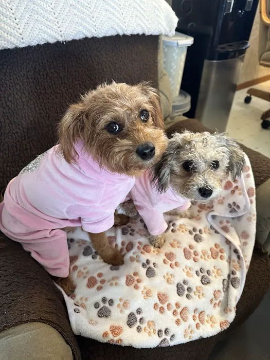 Lilley Veterinary Medical Center Picture 10