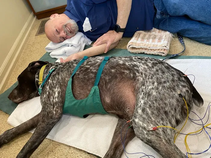 Comfort Care Veterinary Services Picture 1