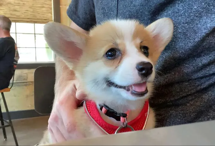 Shelby Veterinary Hospital Picture 5
