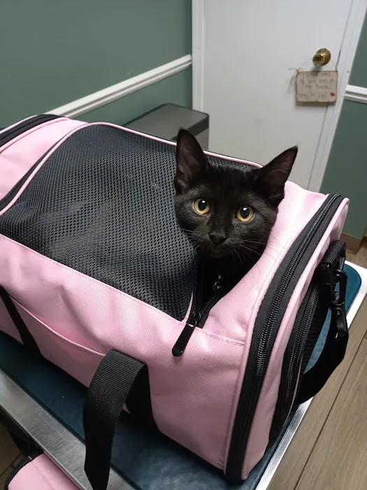 Shelby Veterinary Hospital Picture 3