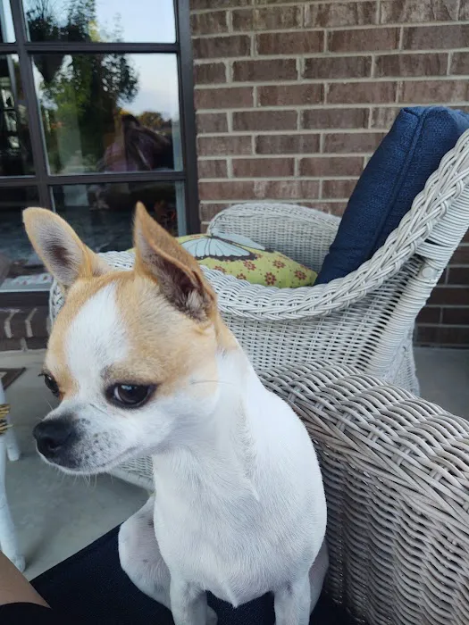 Shelby Veterinary Hospital Picture 6