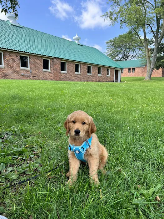 Stony Creek Veterinary Hospital Picture 7