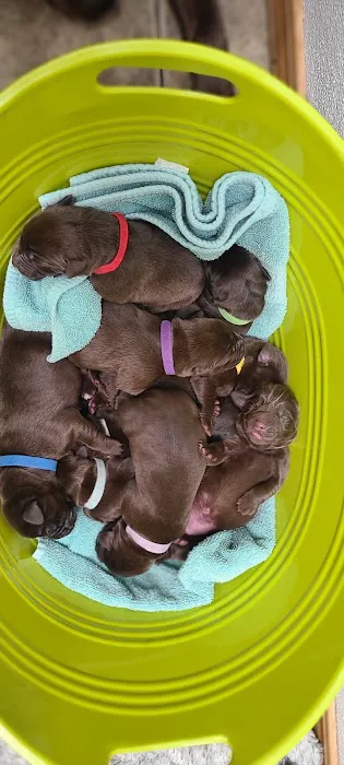 Alsager Animal Care Center Picture 7