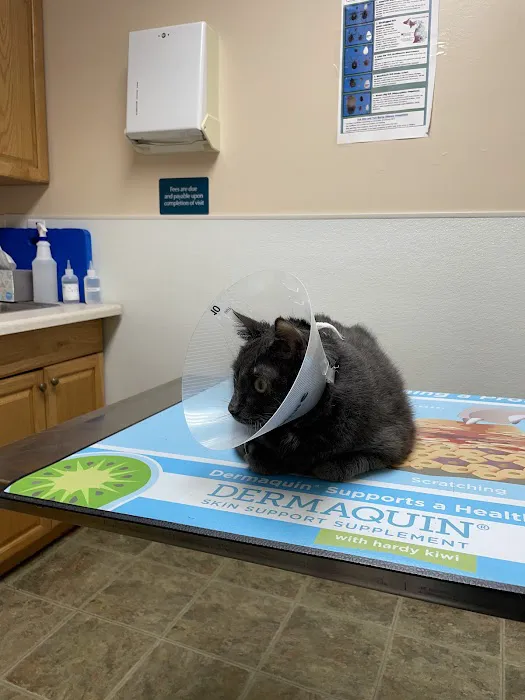 Alsager Animal Care Center Picture 1