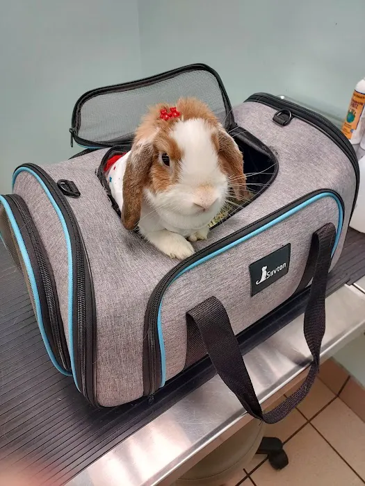 Animal Friends Veterinary Hospital Picture 10