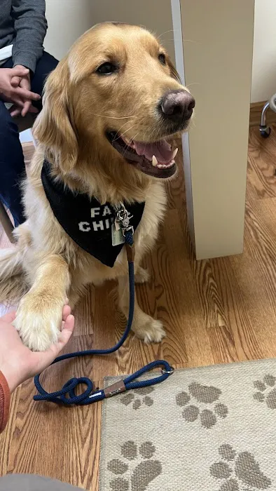 Animal Cancer & Imaging Center Picture 6