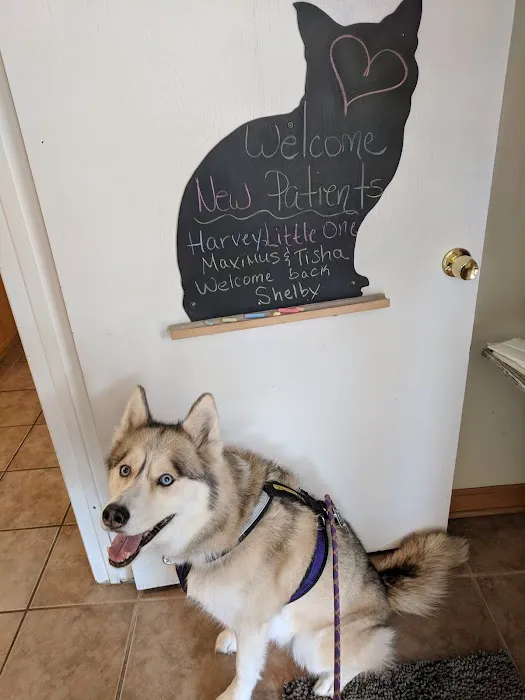 Animal Cancer & Imaging Center Picture 5
