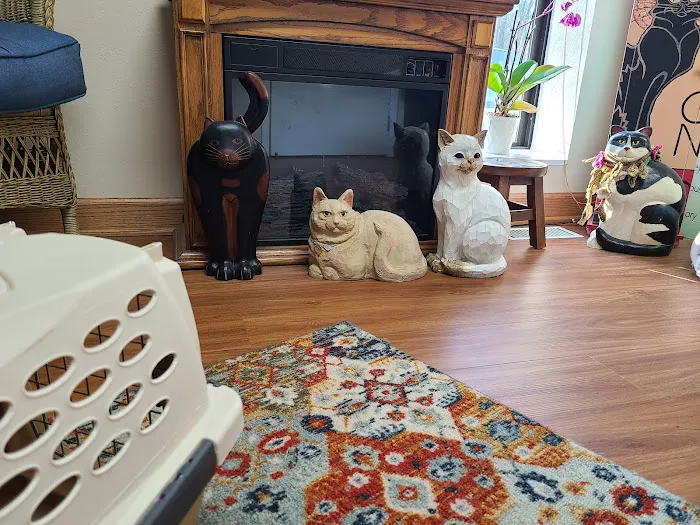 Animal Cancer & Imaging Center Picture 10