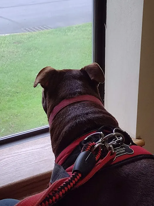 Animal Cancer & Imaging Center Picture 2