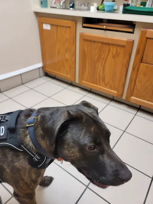 Trenton Veterinary Hospital Picture 5