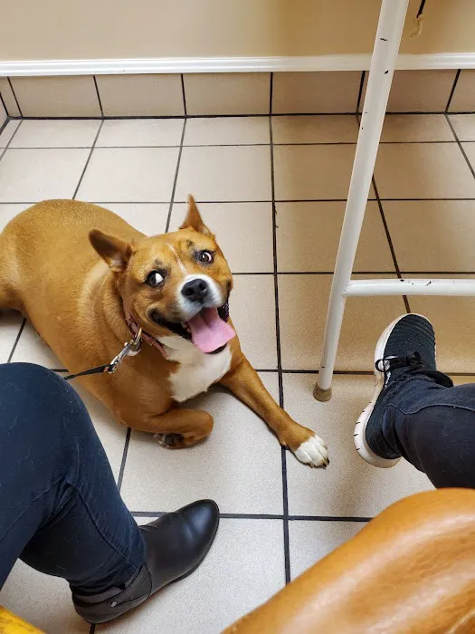 Trenton Veterinary Hospital Picture 1