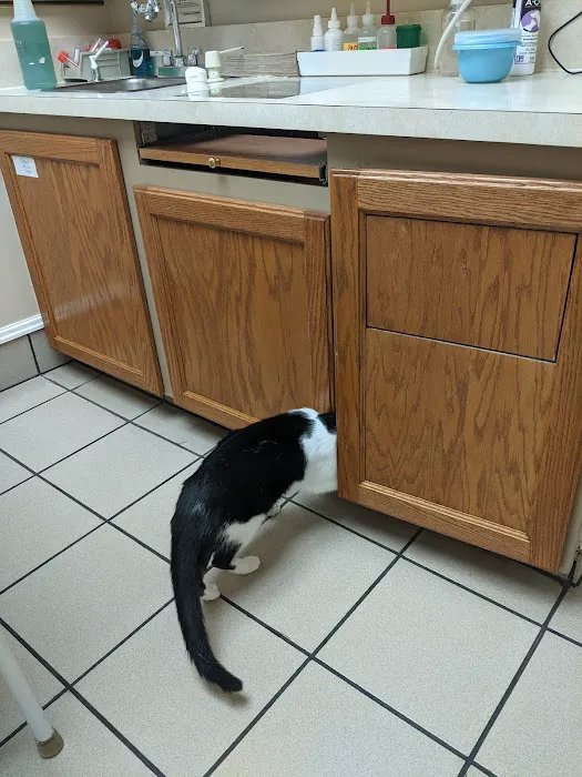 Trenton Veterinary Hospital Picture 7