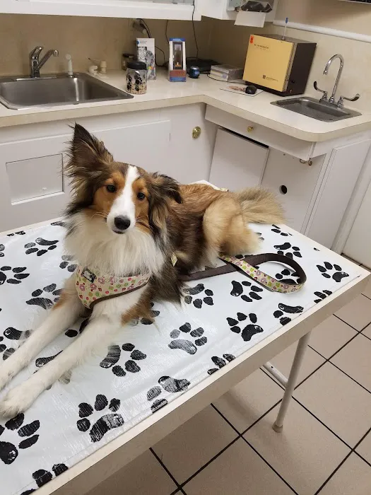 Trenton Veterinary Hospital Picture 2