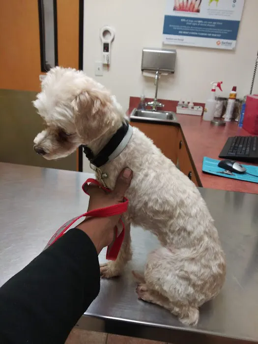 Banfield Pet Hospital Picture 2