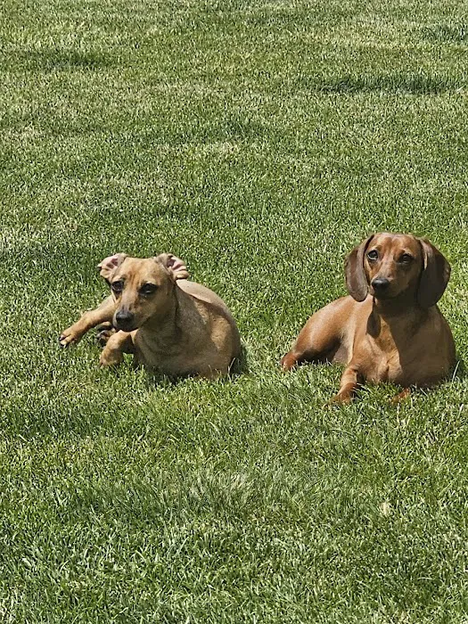 Banfield Pet Hospital Picture 9