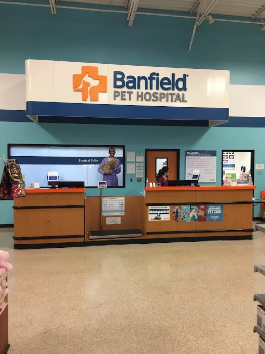 Banfield Pet Hospital Picture 8
