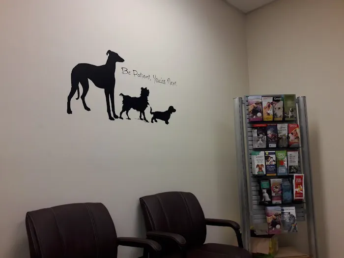 Woodhaven Animal Hospital Picture 5