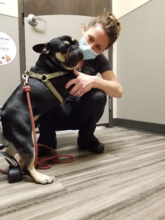 Woodhaven Animal Hospital Picture 8