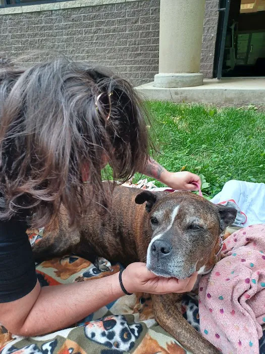 Cahill Veterinary Hospital Picture 8