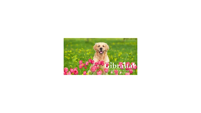 Gibraltar Veterinary Hospital Picture 4
