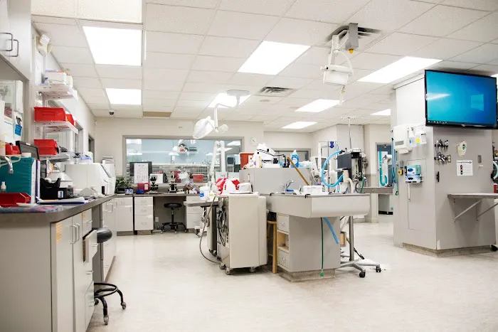 Gibraltar Veterinary Hospital Picture 6