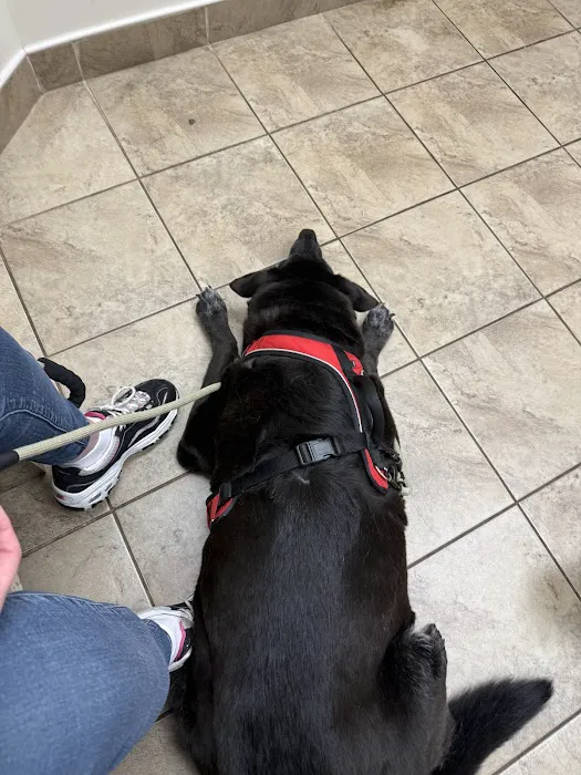 FLAT ROCK ANIMAL CLINIC Picture 4