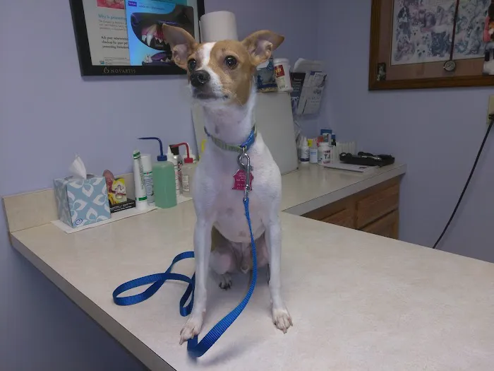 Sheldon Veterinary Hospital Picture 5