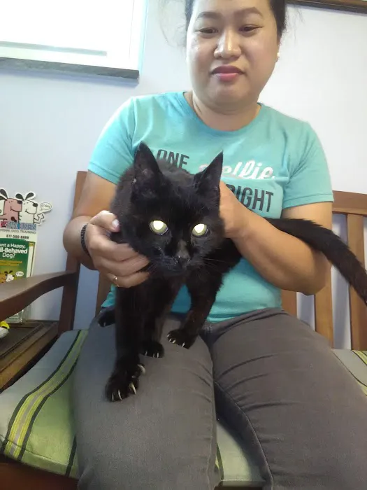Sheldon Veterinary Hospital Picture 3