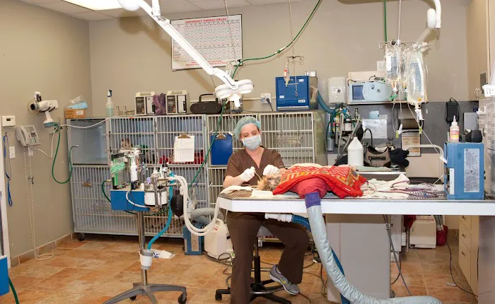 Union Lake Veterinary Hospital Picture 10
