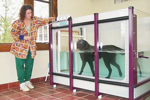 Union Lake Veterinary Hospital Picture 6