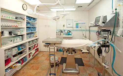 Union Lake Veterinary Hospital Picture 3