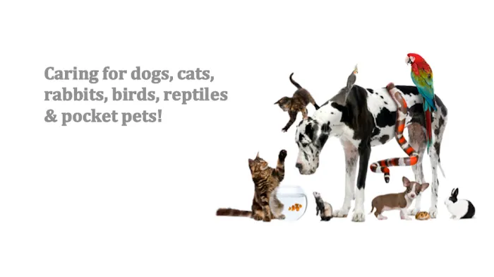 Union Lake Veterinary Hospital Picture 7