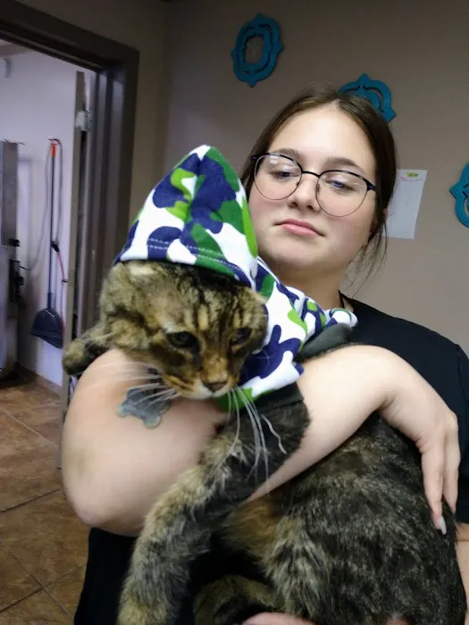 Waterford Animal Clinic Picture 10