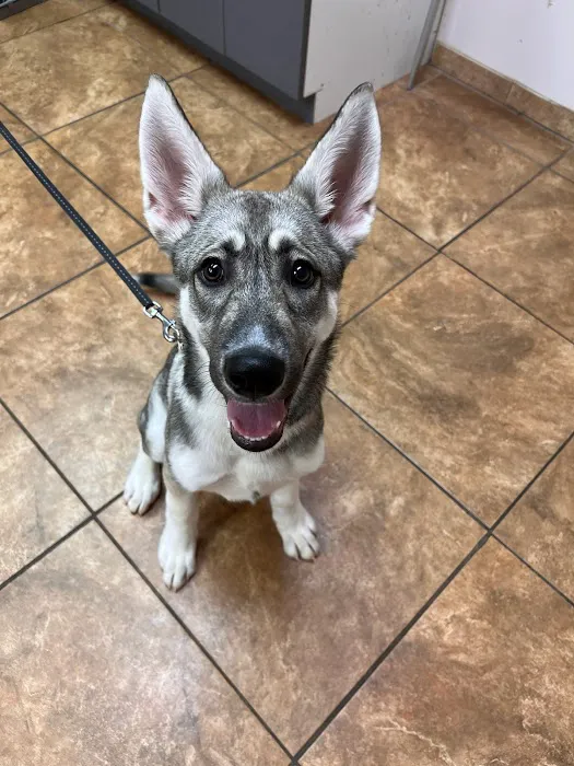 Waterford Animal Clinic Picture 9