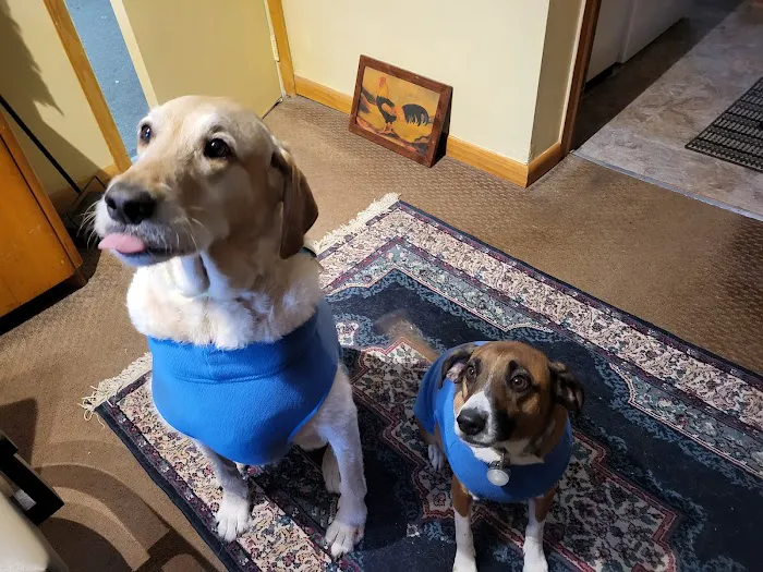 Family Pet Practice Picture 2