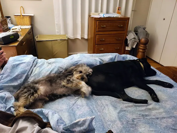 Family Pet Practice Picture 3