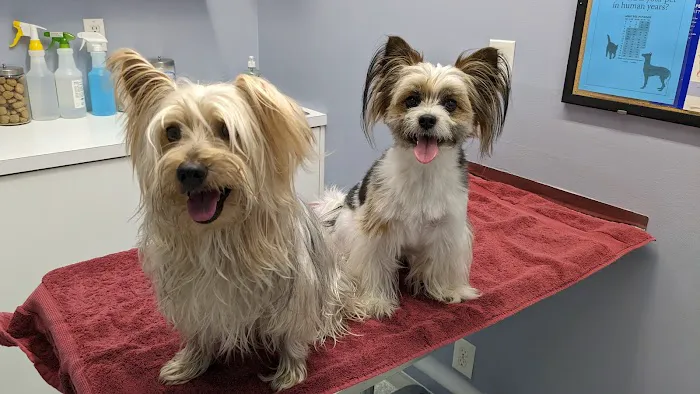Lakeside Animal Hospital Picture 2