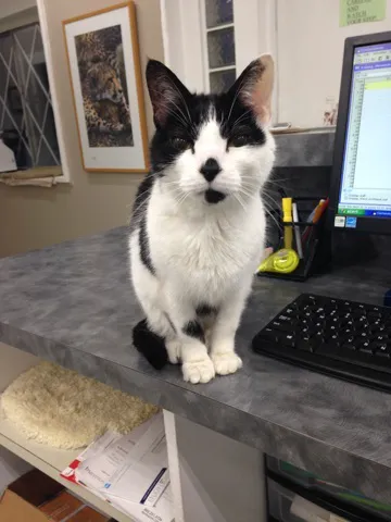 Lakeside Animal Hospital Picture 1
