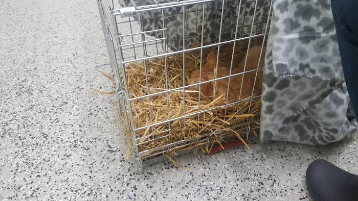 Lakeside Animal Hospital Picture 5