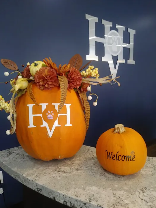 Hometown Veterinary Hospital Picture 3