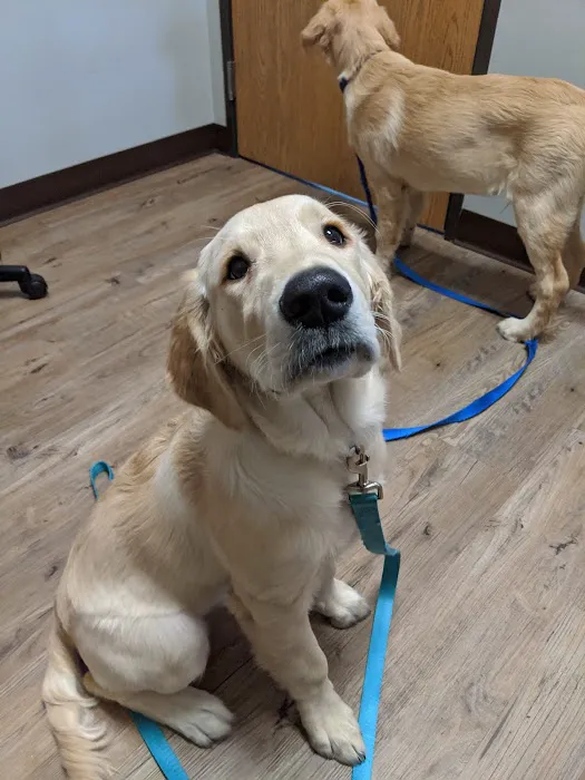 Hometown Veterinary Hospital Picture 1