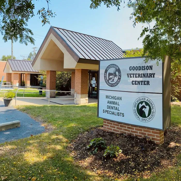 Michigan Animal Dental Specialists Picture 10