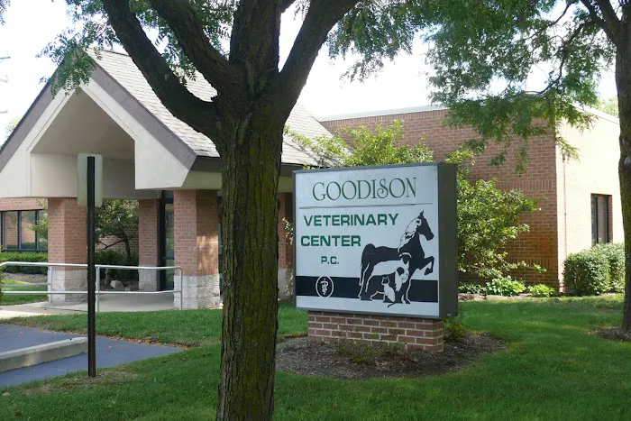 Goodison Veterinary Center Picture 5