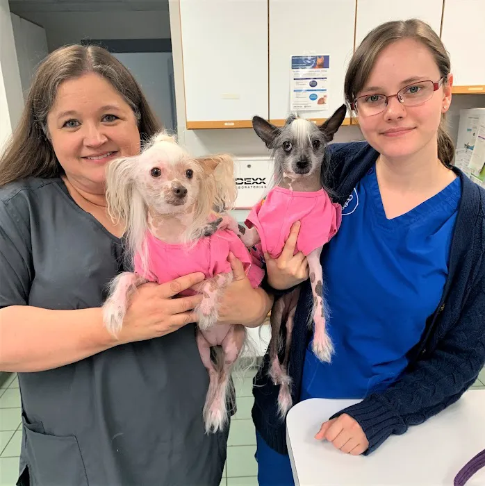 Goodison Veterinary Center Picture 9