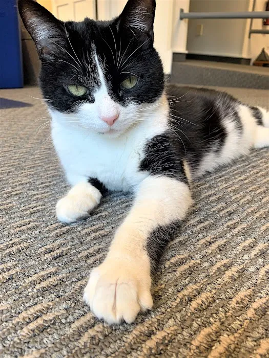 Goodison Veterinary Center Picture 8