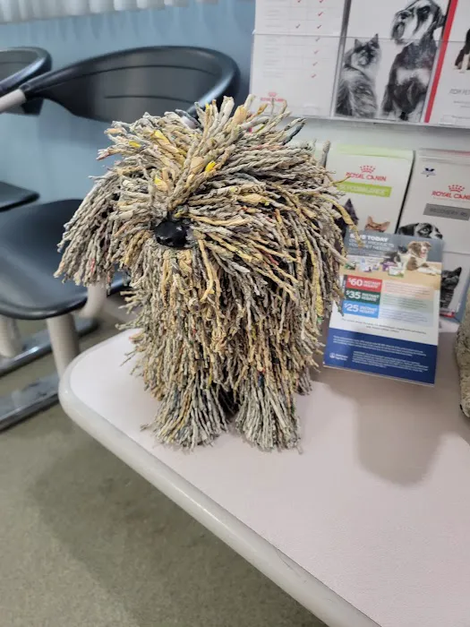 Anchor Bay Veterinary Center Picture 2