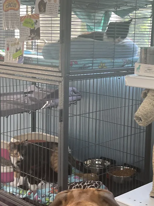 Anchor Bay Veterinary Center Picture 10